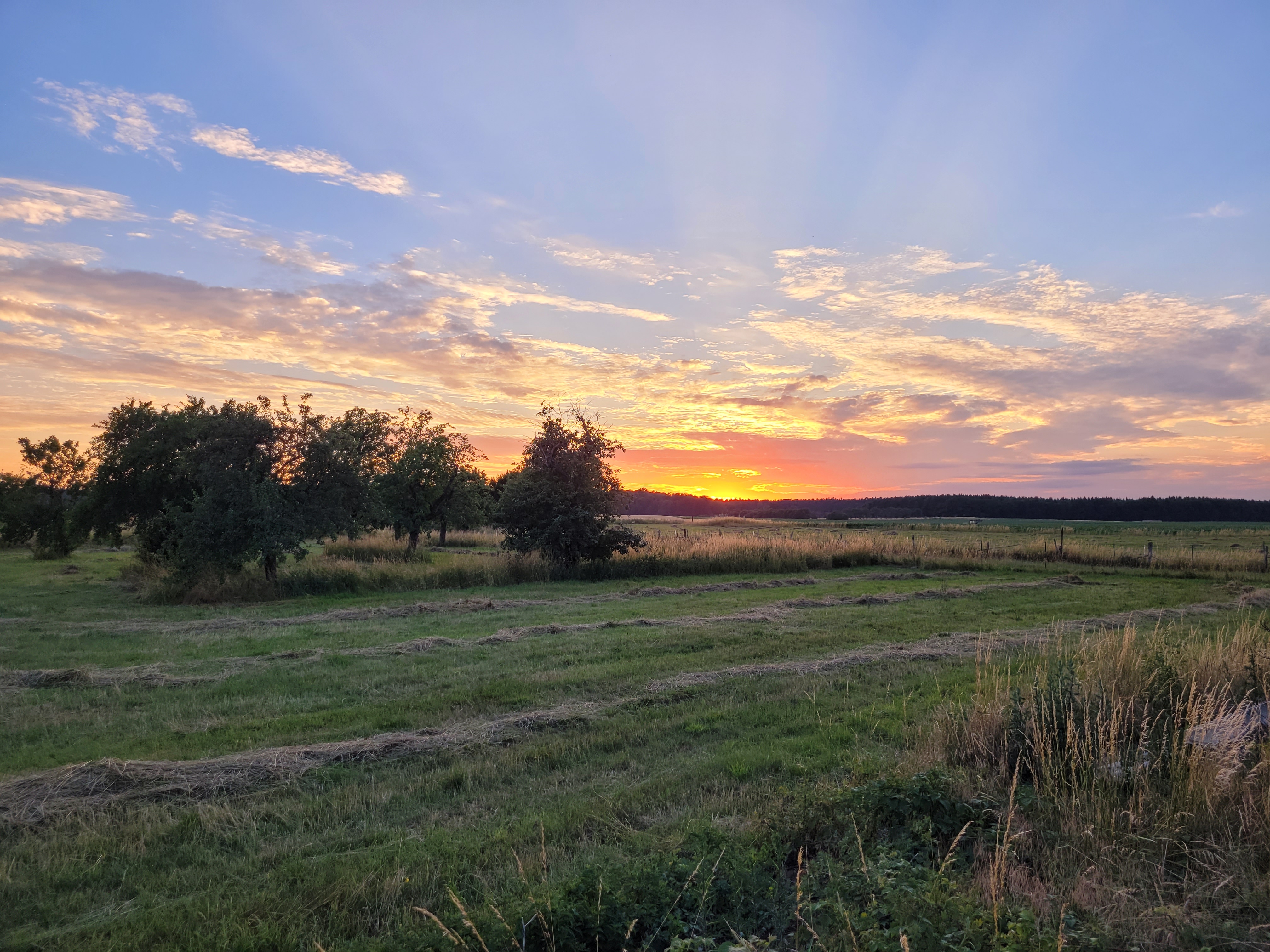 Natur rund um Medewitz