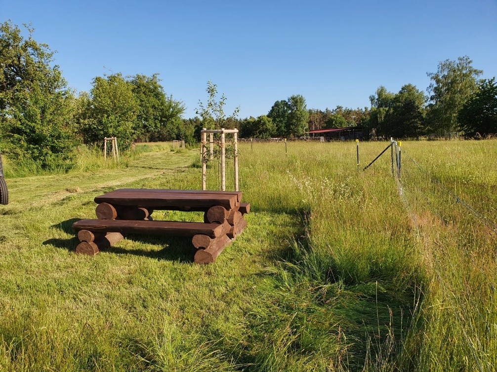 Wildobstwanderweg Medewitz